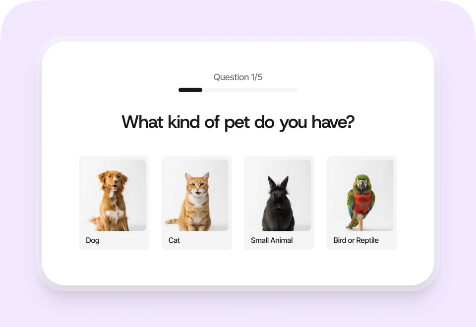 Quizell features card image